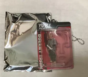 초특급 REAL? 유키 랜덤 블리스터 키링