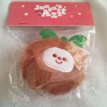 Jun-su's Azit 봉제 인형 마스코트 미사용 미개봉 새상품