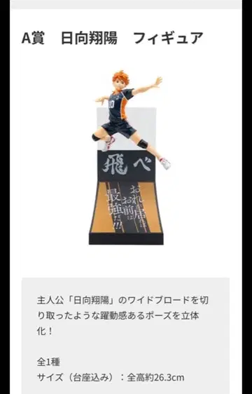 Happy 복권 하이큐!! A상 히나타 쇼요 피규어