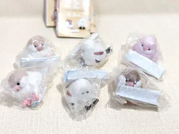 코토리 오미쿠지 가챠 6마리 세트