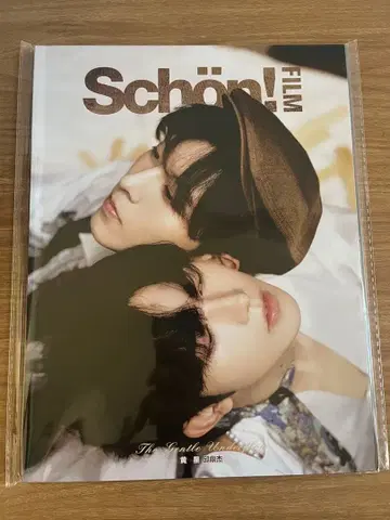 호시테이 schon 잡지