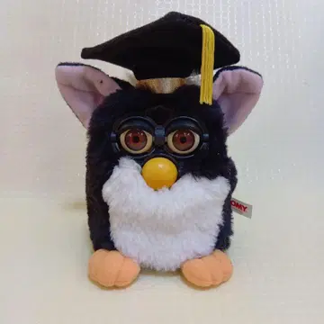 졸업판 파비 일본어판 한정 생산 화이트 눈에 변색 있음