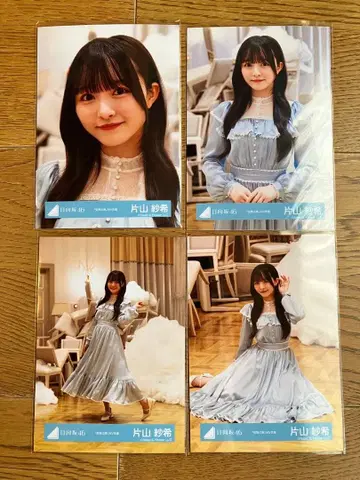 히나타자카46 가타야마 사키 브로마이드 하늘을 나는 자동차 MV 의상