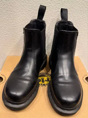 Dr. Martens 2976 MONO 첼시