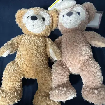 베이지색 곰 봉제 인형 2개 세트