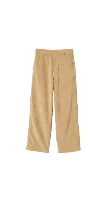 [ 미사용 새상품 ] THE SHISHIKUI 페인터 C 베이지 34