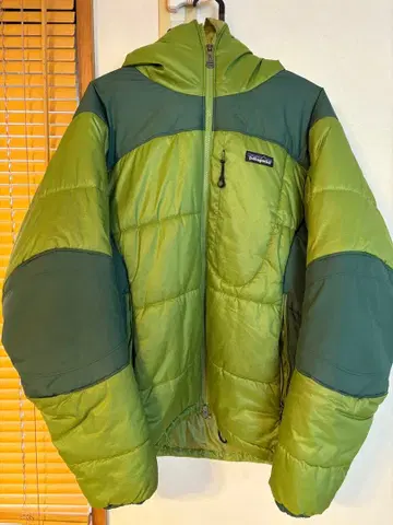 patagonia 더스 파카 그린