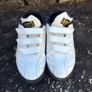 ZETT 트레이닝 슈즈 23.0cm 화이트