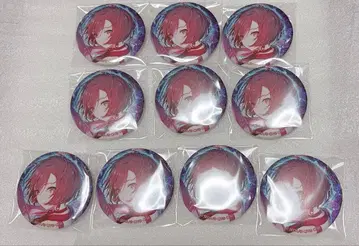 메이코 배지 10개