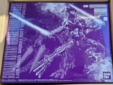 MG 건담 아스트레이 미라지 프레임 세컨드 이슈