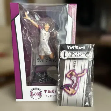 해피 복권 하이큐 라스트 원상 우시지마 와카토시 피규어 제일복권