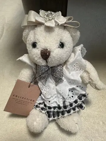 COLLECTION 곰 여아 키라키라