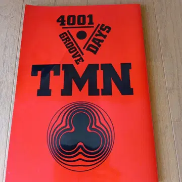 4001 GROOVE DAYS TMN 아트북
