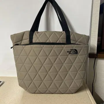 노스페이스의 백 대