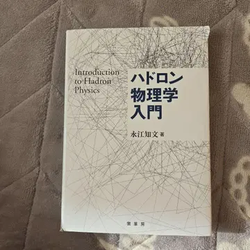 하드론 물리학 입문