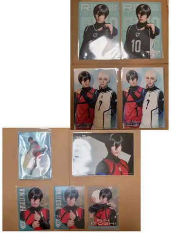 블루 스테 에피 나기 이토시 린 세트