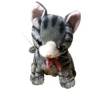 OST osute 어서 와 냥 아메리칸 쇼트 헤어 움직이는