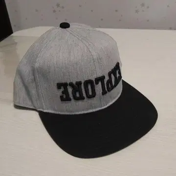 the NorthFACE EXPLORE 플랫 브림 캡