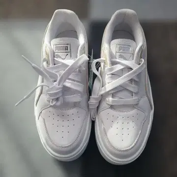 PUMA 프로토타입 엔진 스니커즈 23.5cm 미사용 새상품