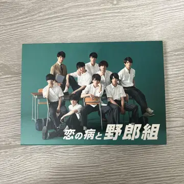 사랑의 병과 남자애들조 DVD