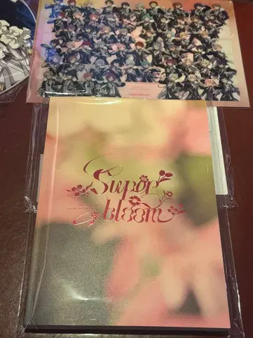 앙스타 스타포니 팜플렛 클리어 파일 포함