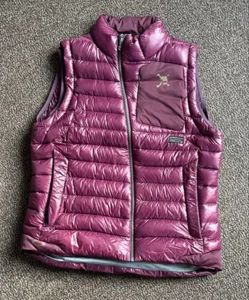 오클리 다운 베스트 남성 의류