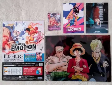 원피스 모션 5세트