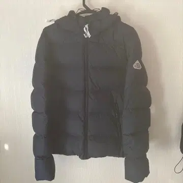 피레넥스 스푸트니크 클리닝 완료