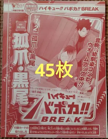 V점프 2026년 1월 바보카 하이큐 프로모 카드 45장