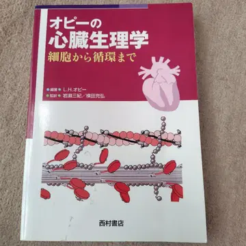 오피의 심장 생리학: 세포에서 순환까지