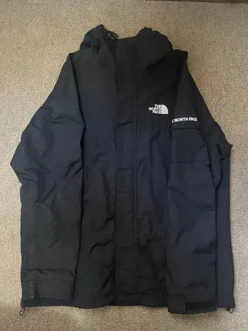 THE NORTH FACE 레어 마운틴 자켓 L