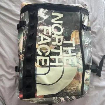 THE NORTH FACE 그래픽 냅색
