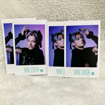 초특급 Aloha NINE LIVES 미니 사진 4장 세트