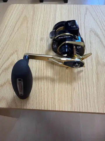 다이와 21 솔티가 IC300H-SJ