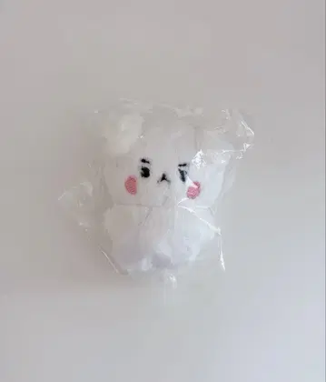 TXT 범규 봉제 인형 밤코미 마스터님 굿즈