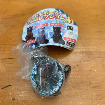 아이돌 호스 미니 컬렉션 vol.41 서울 러쉬