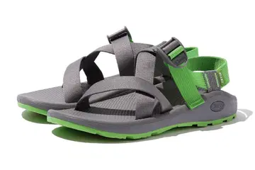 beams 별주 Chaco Z CLOUD 26cm 그레이/그린