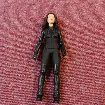 다크 엔젤, 맥스 피규어