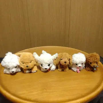 타케노코 TAKENOKO 캔디 퐁텐느 강아지