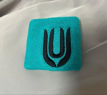 UNISON SQUARE GARDEN 리스트 밴드 그린