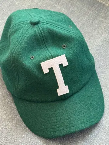 THE NORTH FACE 그린 T 로고 캡