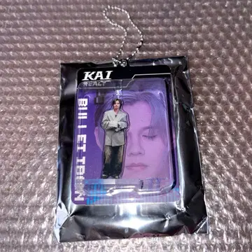 초특급 REAL? 랜덤 블리스터 키링 카이 키링