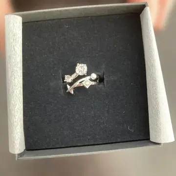 Meteorites-1st Anniversary 반지 멜트 다 텐신