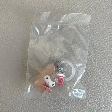 산리오 메지루시 액세서리 ~라떼곰 디자인~ 헬로키티