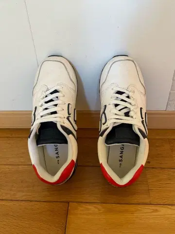 SANGACIO 뉴즈 트리코롤 25cm