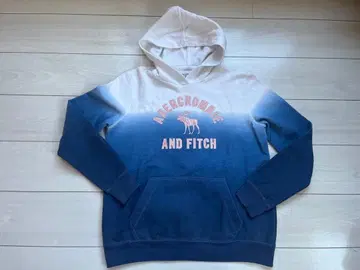 ABERCROMBIE AND FITCH 그라데이션 후드티