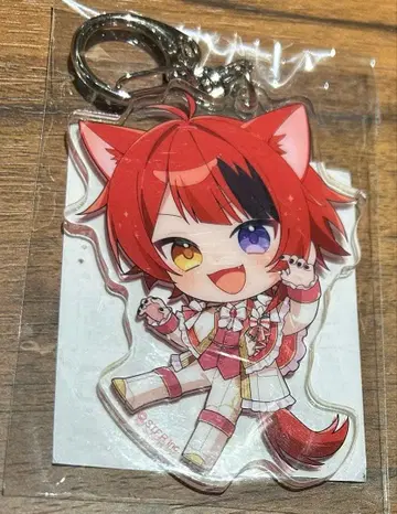 STPR AGF 리이누군 아크릴 키링 스토푸리