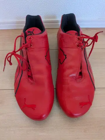Puma 푸마 페라리 캣 계열 29.5