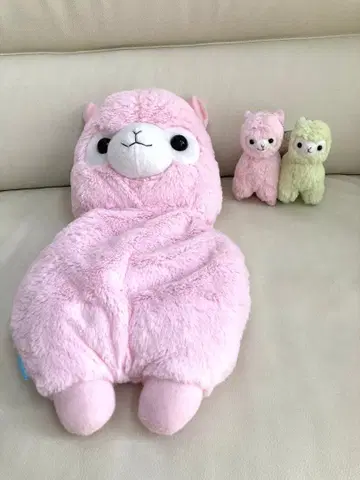 마카롱 알파카 세트