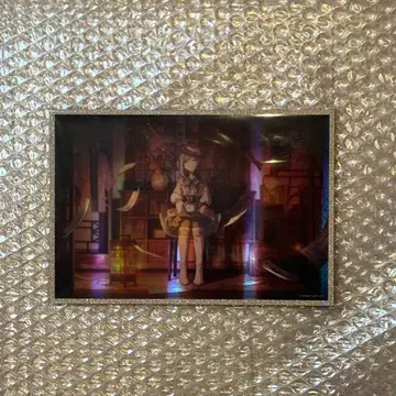 프로세카 하피콜레 물방울 색지